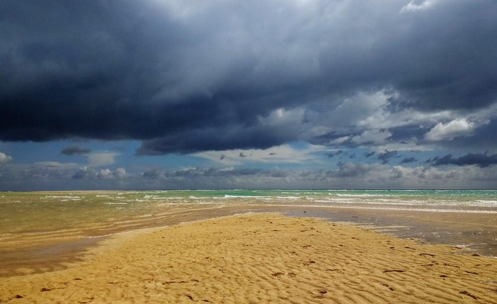 Qualidade da água em praias classificadas como impróprias para banho pode representar riscos diretos à saúde