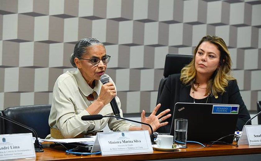 Marina Silva detalha estratégias de combate às queimadas na CMA