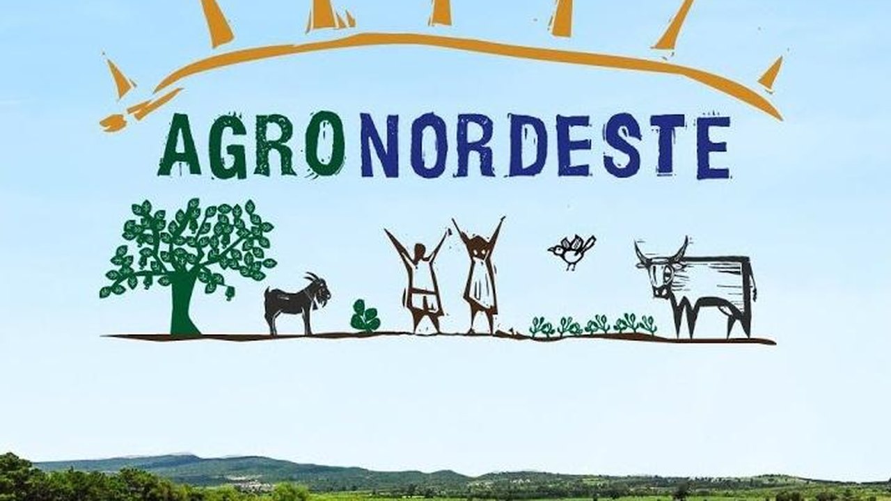 AgroNordeste segue com ações para fortalecer pequenos negócios do campo em Alagoas