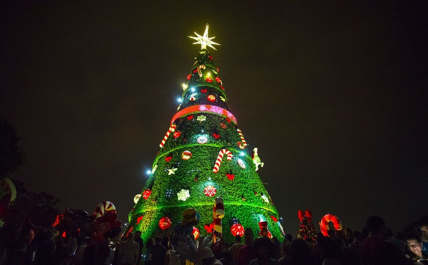 História e significado da árvore de Natal