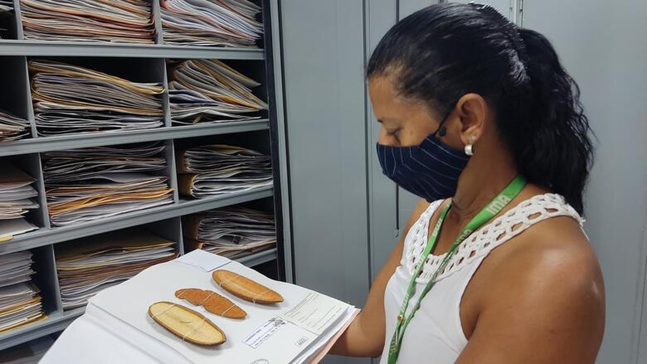 Resolução do Cepram assegura permanência vitalícia ao Herbário MAC