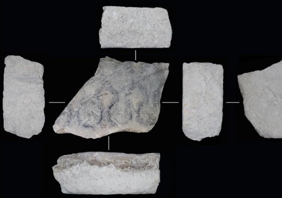 Primeiro molde de pedra conhecido para produção de moedas é descoberto na Espanha romana (FOTOS)