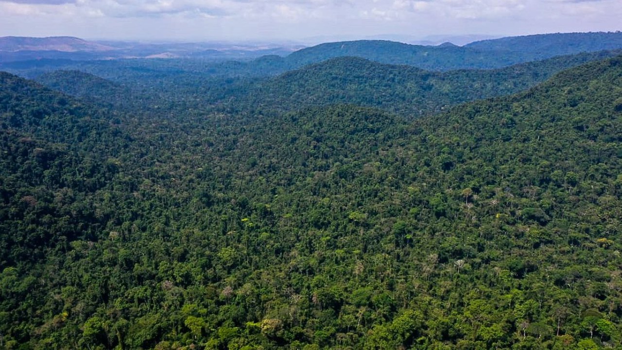 Pesquisa identifica 70 perfis que propagam notícias falsas na Amazônia