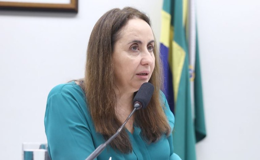 Projeto que cria Sistema Nacional de Educação divide opiniões em debate na Câmara