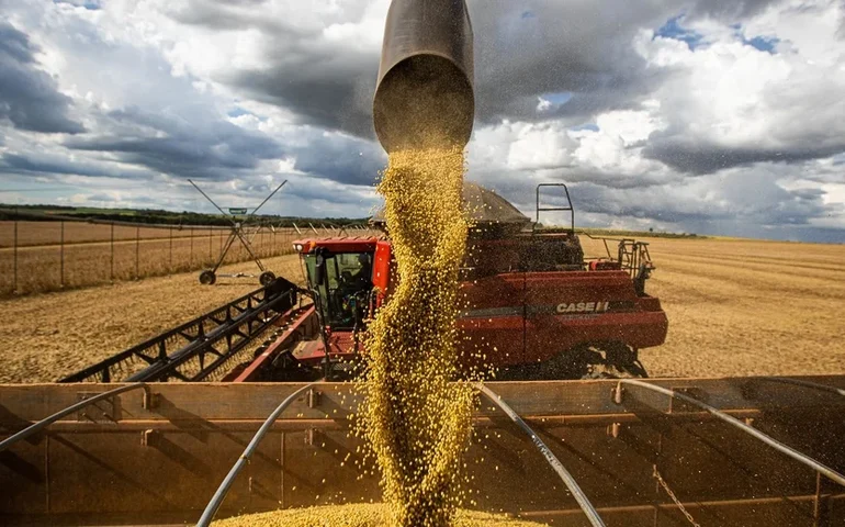 Safra 2025/26 deve somar 354,8 milhões de t e ficar 0,82% acima do ciclo 2024/25, diz Conab
