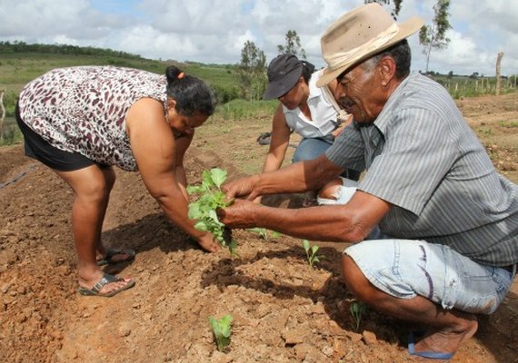 Arapiraca: Comunidade do Pau d&#8217;Arco é beneficiada com &#8216;Horta no Quintal&#8217;