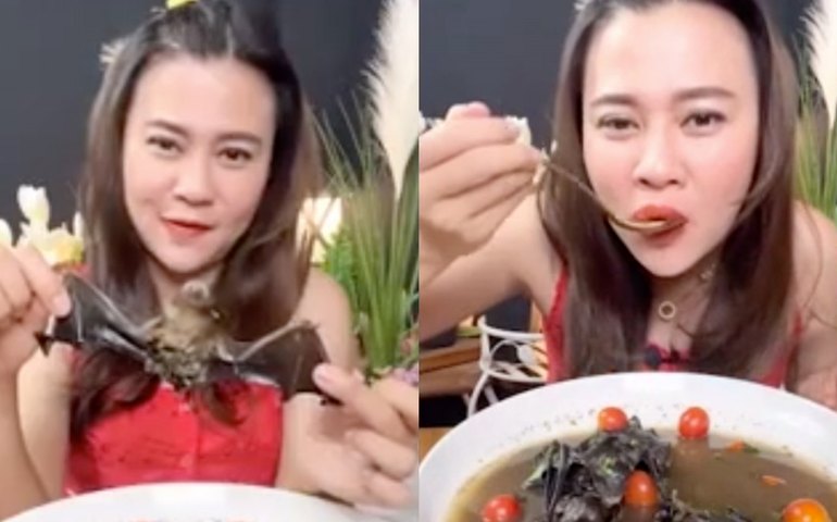 Influenciadora tailandesa pode pegar até 5 anos de prisão por comer morcego