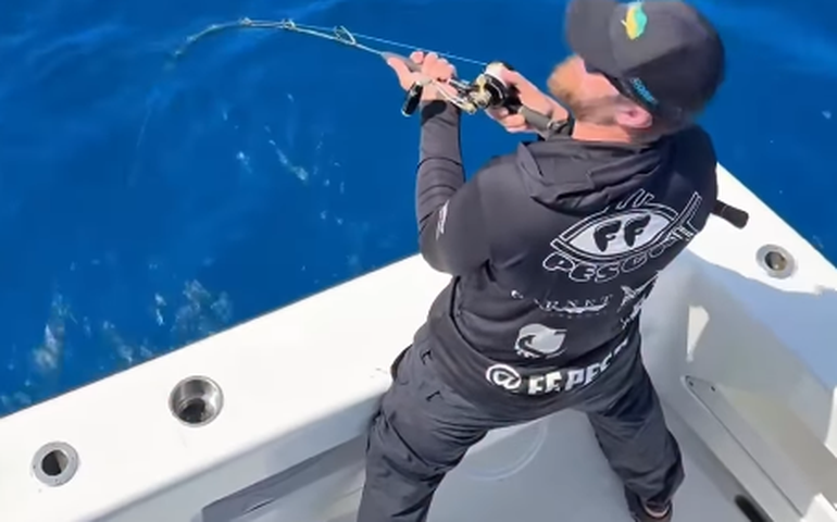 Após três horas de pesca, Zé Neto detalha captura de marlim-azul de 300 quilos: 'Que batalha'