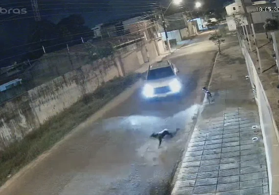Motorista que atropelou cão de propósito é procurado pela polícia