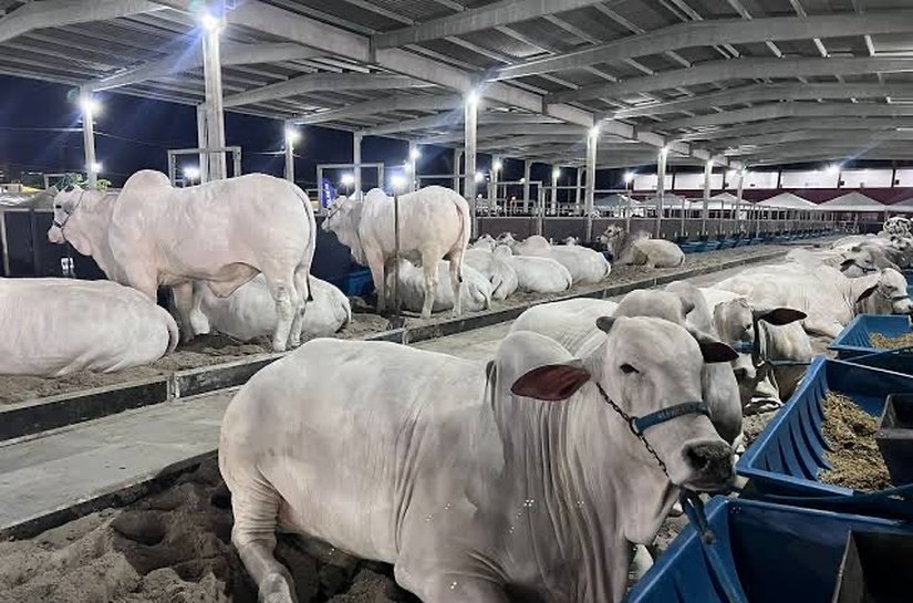 Expoagro 2025: 75 anos de tradição, inovação e protagonismo no agronegócio do Nordeste