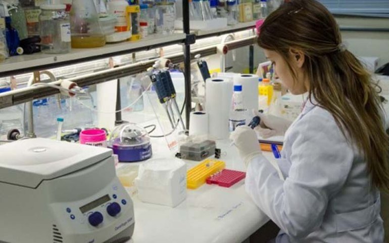 Aumento da validade da CNH não compromete segurança, garante Denatran