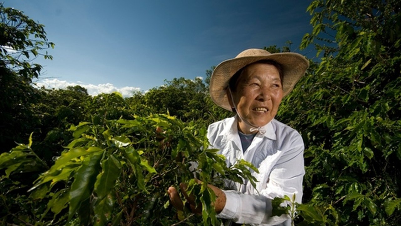Agricultores familiares têm melhores resultados em 2013 que na safra anterior