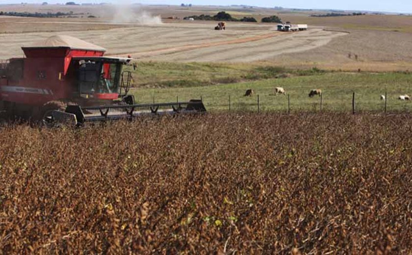 Valor da produção agropecuária de 2015 é de R$ 473,2 bilhões