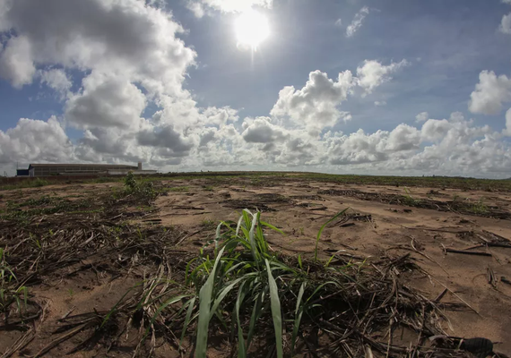 Pernambuco declara situação de emergência em 117 municípios devido à estiagem prolongada