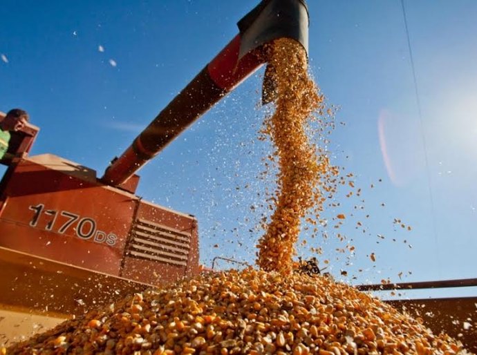II Encontro de Produtores de Milho se firma no calendário agrícola