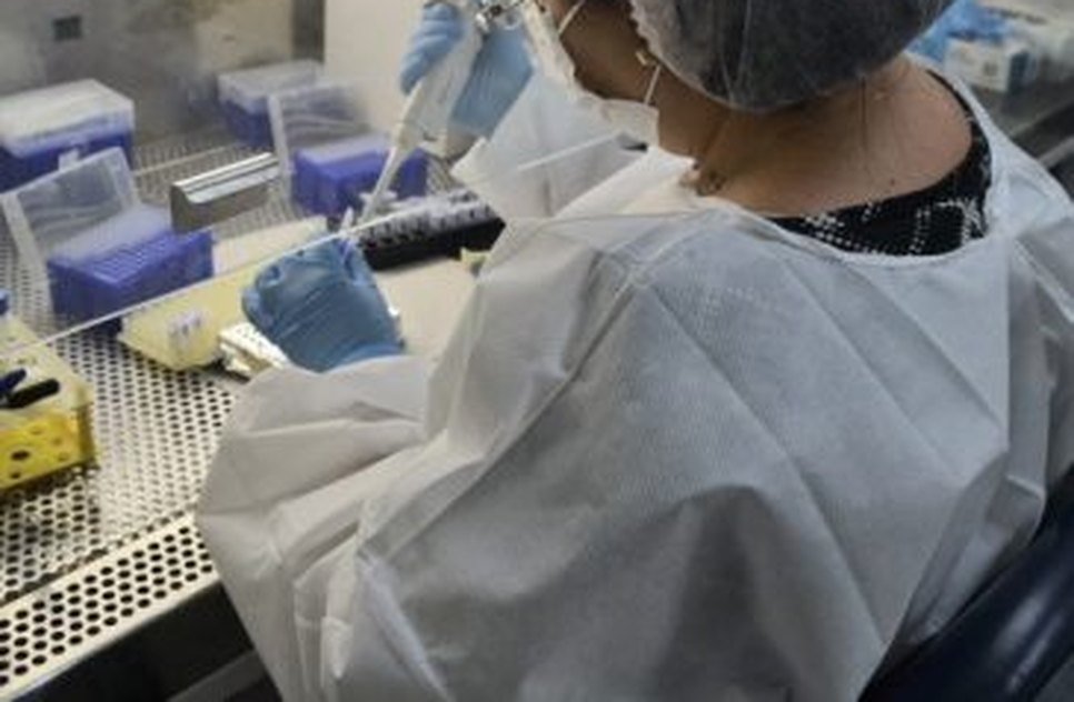 coronavirus