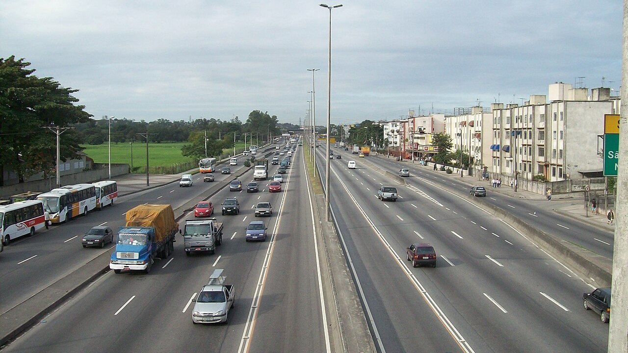 Égua do Exército avaliada em R$ 1 milhão morre atropelada por carreta no Rio