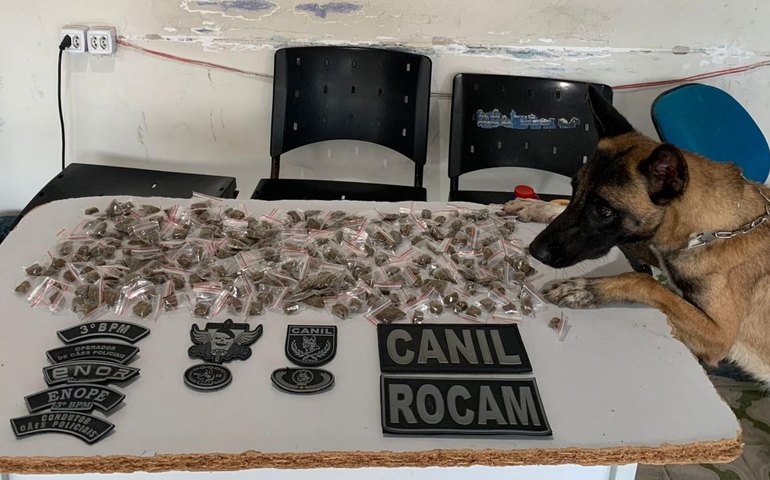 Polícia Militar apreende drogas e armas durante abordagens em Arapiraca