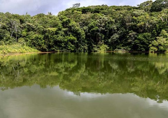 Seminário sobre fiscalização ambiental acontece em setembro, em Penedo