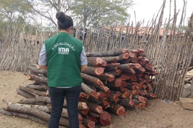 Fiscalização flagra desmatamento em Girau do Ponciano
