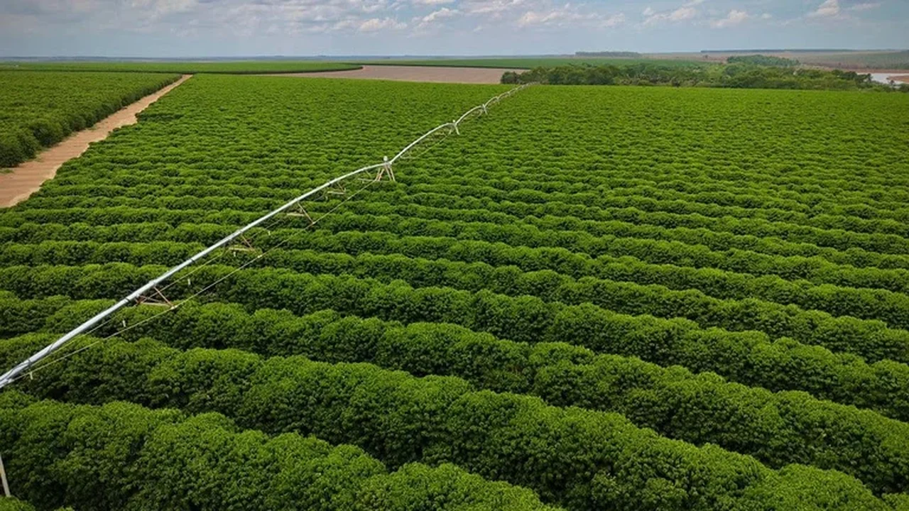 Sistema nacional aprimora manejo da irrigação e uso eficiente da água