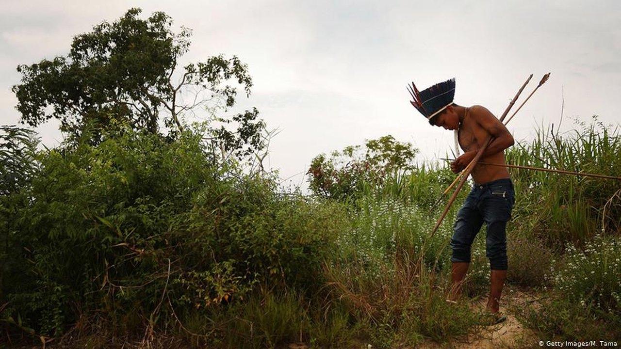 Interior da Amazônia pode se tornar novo epicentro da pandemia, adverte médico