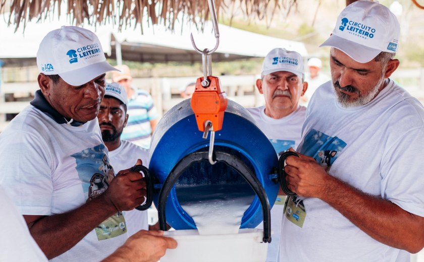 Circuito Leiteiro Alagoano: uma grande vitrine do rebanho de agricultores familiares este ano