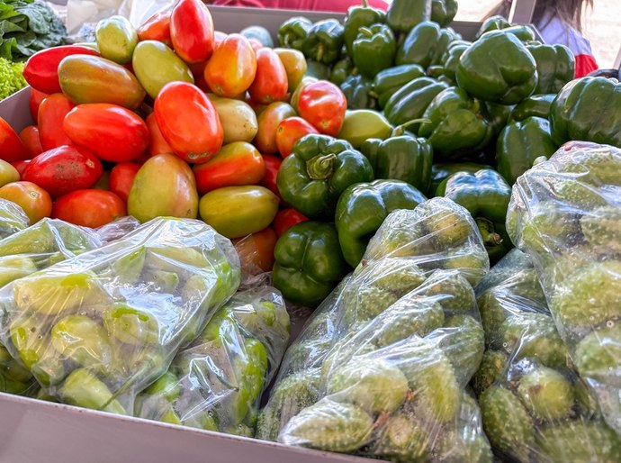 Comercialização de alimentos saudáveis e de qualidade fortalece cadeia produtiva local no Circuito de Feiras