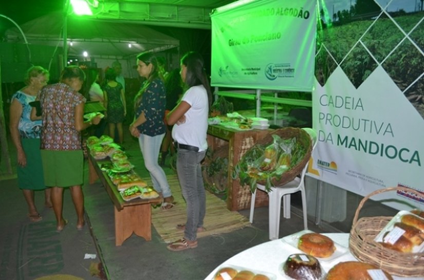 Diretor-presidente da Emater faz balanço da participação na Expoagro