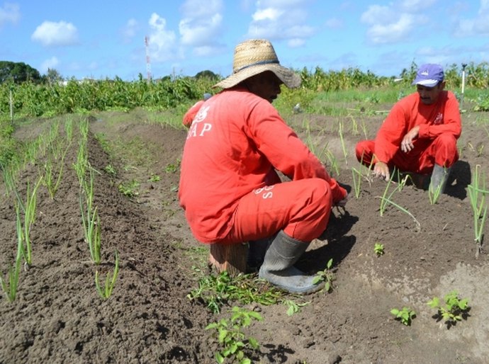 Seris dissemina boas práticas na Semana Nacional de Ciências e Tecnologia