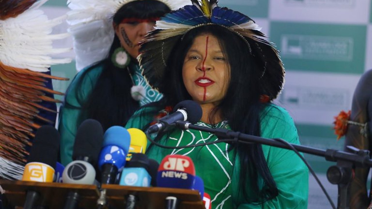 Ministra dos Povos Indígenas defende punição a quem incentivou garimpo ilegal