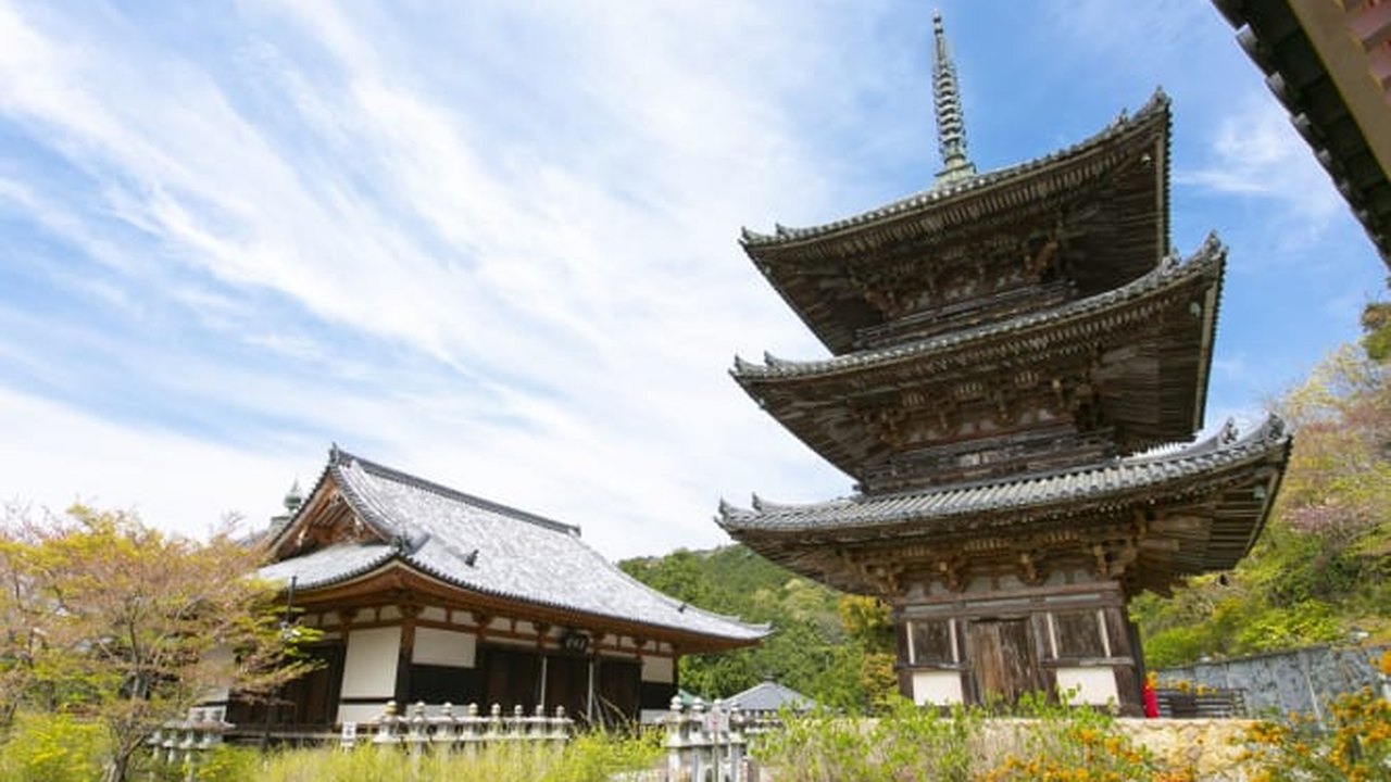 Dez anos depois, família japonesa descobre que mãe havia morrido dentro de casa