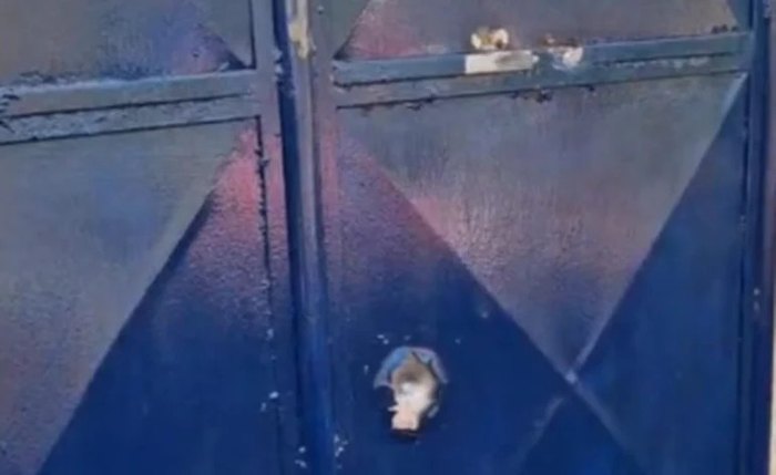 Escola indígena é alvo de tiros em Palmeira dos Índios