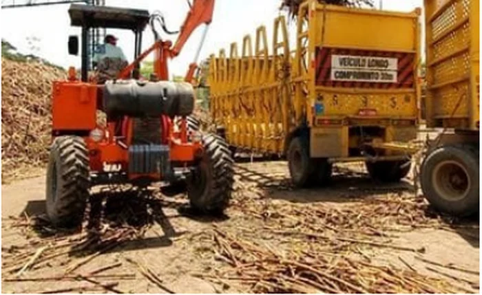 Setor canavieiro se fortalece com modernização de equipamentos