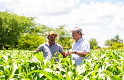 Seagri intensifica ações e impulsiona agricultura familiar no sertão alagoano