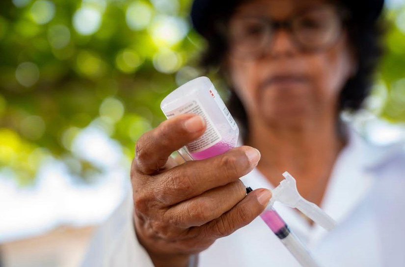 Saúde orienta população sobre como proceder após ataque de animais que transmitem raiva