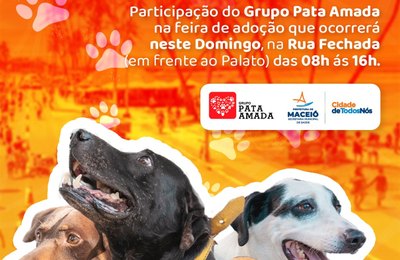 Feira de Adoção de animais volta à Rua Aberta neste domingo (31)