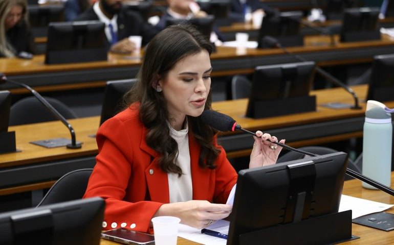 Comissão aprova prioridade para gestantes e lactantes em epidemias