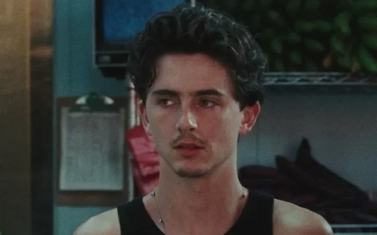 10 filmes com balé e ópera para Timothée Chalamet assistir