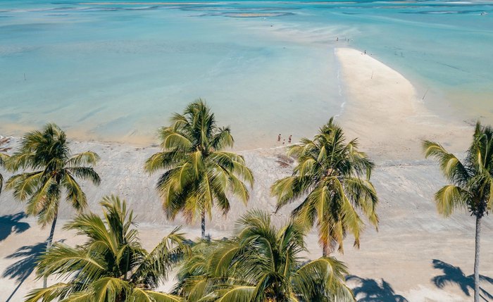 Com a chegada do fim de semana, ir à praia é uma das principais escolhas para quem está em Alagoas