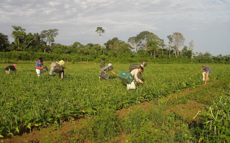 PAA: agricultores contam como melhoraram a renda e combateram a fome