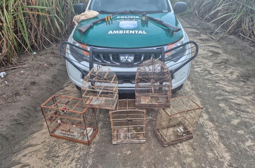 PM-AL resgata mais de 250 animais silvestres e apreende oito armas em operações ambientais