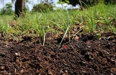 Após pedido da CNM, envio de laudo do Valor da Terra Nua é prorrogado 
