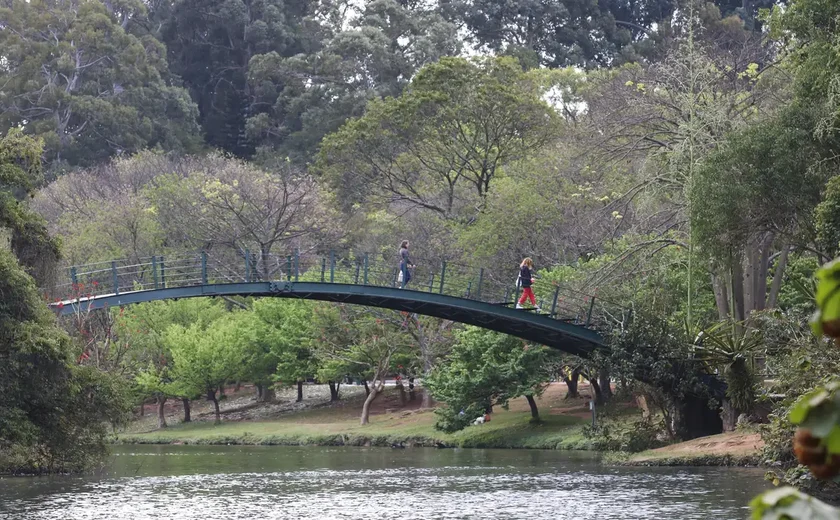 Parque do Ibirapuera reduz espetáculo das águas; entenda o motivo