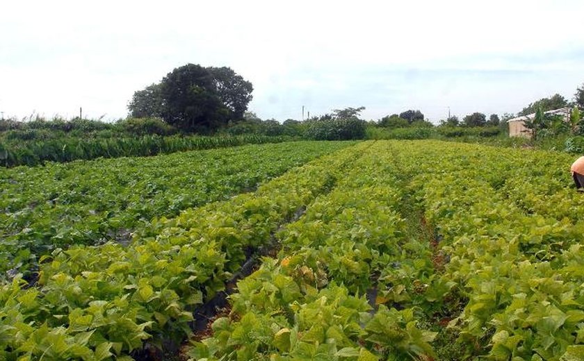 Agricultores do Reino Unido protestam contra alta de imposto