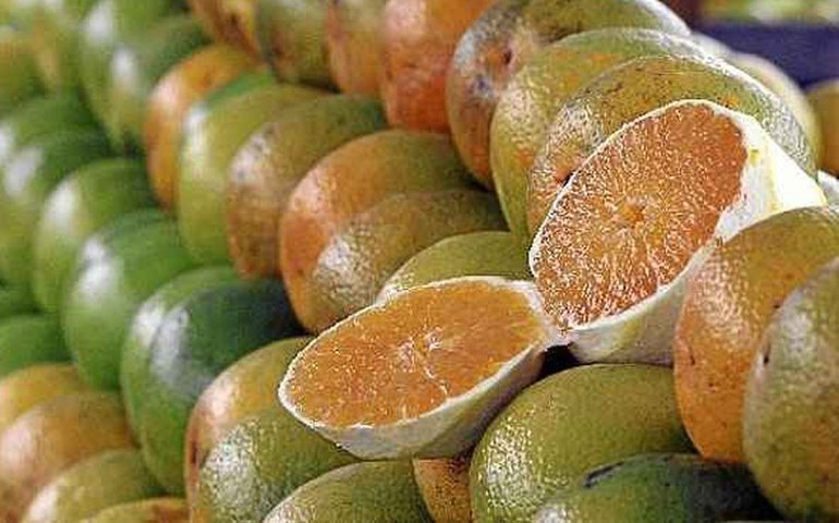 Exceções do tarifaço representam 43,4% do valor exportado aos EUA