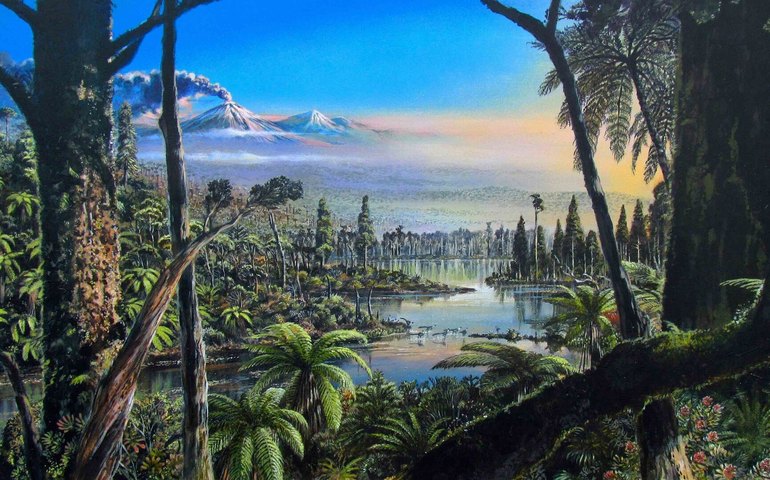 Descoberta de âmbar na Antártica indica que floresta pantanosa existiu perto de Polo Sul