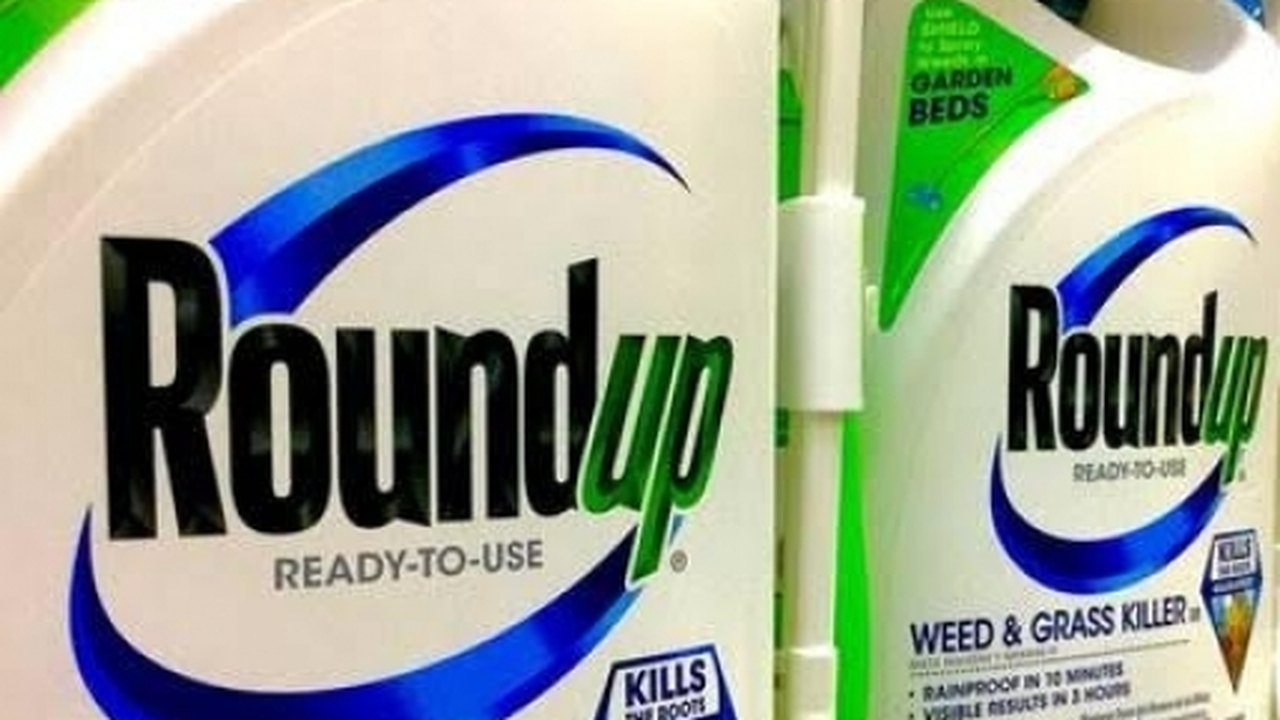 Nos EUA, Monsanto tem decisão favorável em julgamento envolvendo herbicida