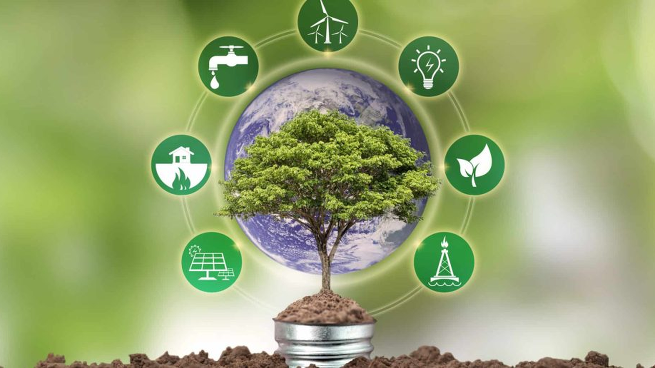 Comissão realiza audiência pública para debater sustentabilidade ambiental