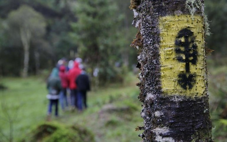 Florestas de Canela e São Francisco de Paula entram em plano de desestatização
